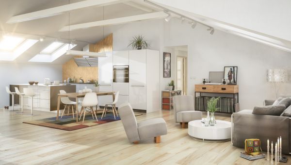 Professional Loft Remodeling